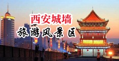 美女吃大鸡巴出水网站中国陕西-西安城墙旅游风景区