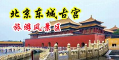 动漫日逼免费鸡对鸡中国北京-东城古宫旅游风景区